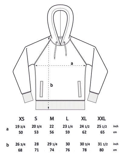 WINTER DAWN - Classic heavy unisex raglan pullover hoodie with side pockets